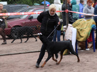 SJ Helena