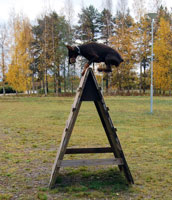 SJ Karelia