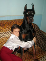 SJ Nazar