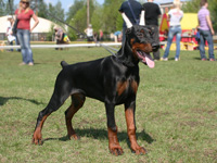 SJ Ruslan