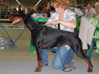 SJ Ruslana