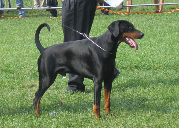 Rondo_Valdez_v_Resid