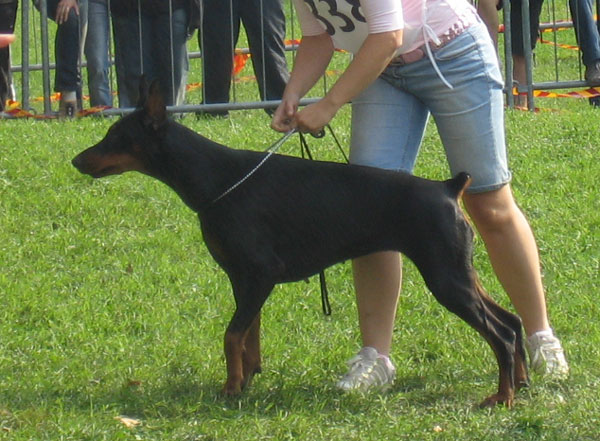 SWH_Roma_Raviol