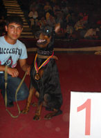 Don Kagust Yahont